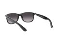 Ray-Ban Andy Solbriller RB 4202 601/8G