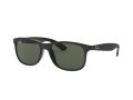 Ray-Ban Andy Solbriller RB 4202 6069/71
