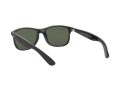 Ray-Ban Andy Solbriller RB 4202 6069/71