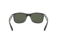 Ray-Ban Andy Solbriller RB 4202 6069/71
