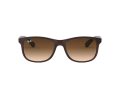 Ray-Ban Andy Solbriller RB 4202 6073/13