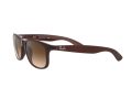 Ray-Ban Andy Solbriller RB 4202 6073/13