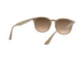 Ray-Ban Solbriller 4259 616613