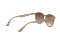 Ray-Ban Solbriller 4259 616613