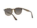 Ray-Ban Solbriller RB 4259 710/11