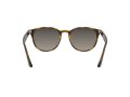 Ray-Ban Solbriller RB 4259 710/11