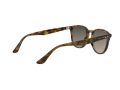 Ray-Ban Solbriller RB 4259 710/11
