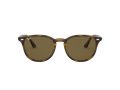 Ray-Ban Solbriller RB 4259 710/73