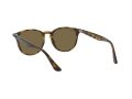 Ray-Ban Solbriller RB 4259 710/73