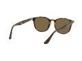 Ray-Ban Solbriller RB 4259 710/73