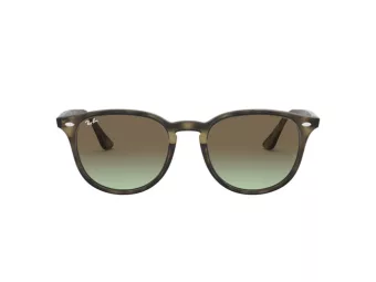 Ray-Ban Solbriller RB 4259 731/E8
