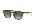 Ray-Ban Solbriller RB 4259 731/E8