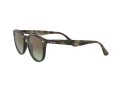 Ray-Ban Solbriller RB 4259 731/E8