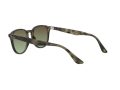 Ray-Ban Solbriller RB 4259 731/E8