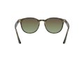 Ray-Ban Solbriller RB 4259 731/E8
