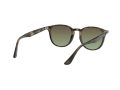 Ray-Ban Solbriller RB 4259 731/E8