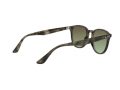 Ray-Ban Solbriller RB 4259 731/E8