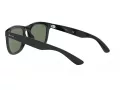 Ray-Ban Solbriller RB 4260D 601/71