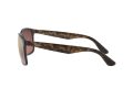 Ray-Ban Solbriller RB 4264 894/6B
