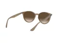 Ray-Ban Solbriller RB 4305 6166/13