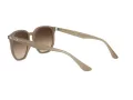 Ray-Ban Solbriller RB 4306 616613