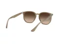 Ray-Ban Solbriller RB 4306 616613