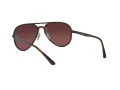 Ray-Ban Solbriller RB 4320/CH 710/6B