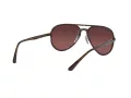 Ray-Ban Solbriller RB 4320/CH 710/6B