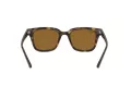 Ray-Ban Solbriller RB 4323 710/33