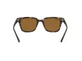 Ray-Ban Solbriller RB 4323 710/83