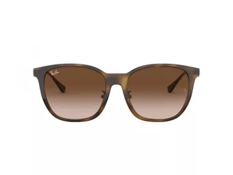 Ray-Ban Solbriller RB 4333D 710/13