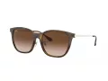 Ray-Ban Solbriller RB 4333D 710/13