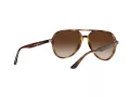 Ray-Ban Solbriller RB 4376 710/13