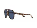 Ray-Ban Solbriller RB 4376 710/80