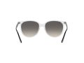 Ray-Ban Solbriller RB 4378 647711