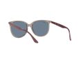 Ray-Ban Solbriller RB 4378 6572/2V