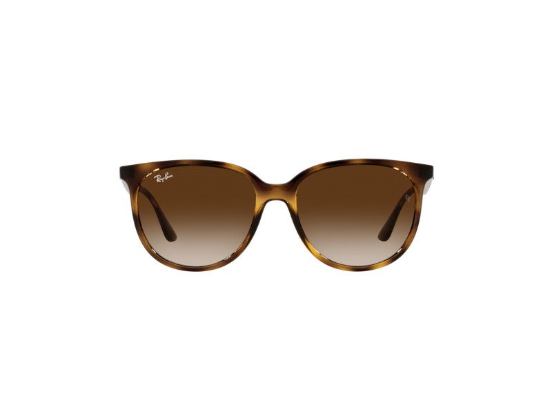 Ray-Ban Solbriller RB 4378 710/13
