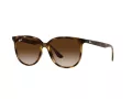 Ray-Ban Solbriller RB 4378 710/13