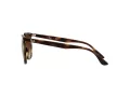 Ray-Ban Solbriller RB 4378 710/13