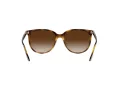 Ray-Ban Solbriller RB 4378 710/13