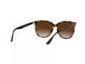 Ray-Ban Solbriller RB 4378 710/13