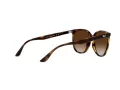 Ray-Ban Solbriller RB 4378 710/13