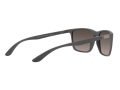 Ray-Ban Solbriller RB 4385 6017/5J