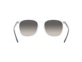 Ray-Ban Solbriller RB 4387 6477/11