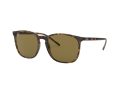 Ray-Ban Solbriller RB 4387 710/73