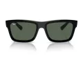 Ray-Ban Warren Solbriller RB 4396 667771