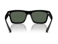 Ray-Ban Warren Solbriller RB 4396 667771
