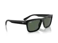 Ray-Ban Warren Solbriller RB 4396 667771
