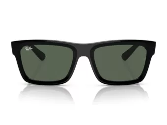 Ray-Ban Warren Solbriller RB 4396 667771