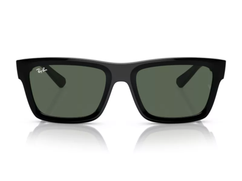 Ray-Ban Warren Solbriller RB 4396 667771